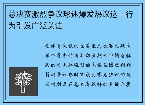 总决赛激烈争议球迷爆发热议这一行为引发广泛关注